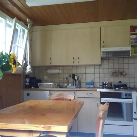 Ferien Flueehblueemli By Interhome * Stechelberg